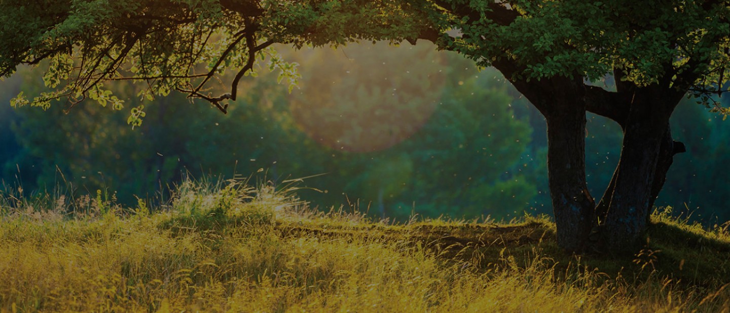 Kabala ve Yahudi Meditasyonu