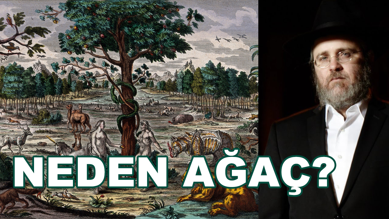 İyi ve Kötüyü Bilme Ağacı, Neden Bir Ağaçtır? – Rav Dovber Pinson