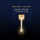 Sonsuz Zincir - Rabbi Nathan T. Lopes Cardozo kapak görseli